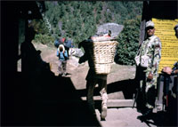 L'ingresso del Parco Nazionale Sagarmatha