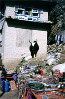 Le bancarelle di Namche Bazaar