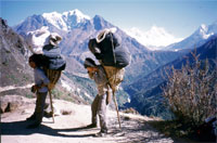 Portatori