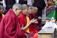 Lama in preghiera al gompa di Gonhgye