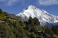 Lo Yangra (Ganesh I, 7422 m) da Langdang gompa