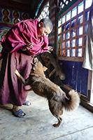 Monaca gioca col cane al gompa di Langdang