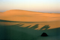 Ombre dei fuoristrada sulle dune