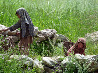 Bambine al lavoro nei campi a Hushe