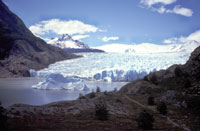 Il fronte del ghiacciaio Gray