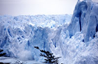 Fronte del Perito Moreno