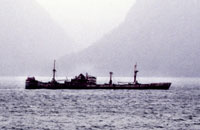 Dettaglio di un relitto incagliato in un fiordo cileno nei pressi del Golfo del Penas