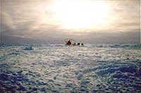 Ritorno dal Polo Nord