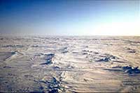 Paesaggio polare
