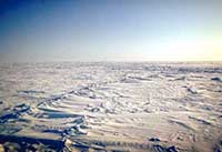 Paesaggio polare