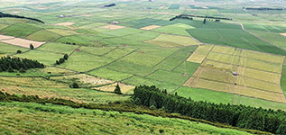 Panorama sui campi di Terceira dal Miradouro da Serra do Cume 