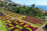 Il giardino botanico di Funchal