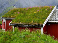 Casa con tetto tradizionale a Reine - Lofoten