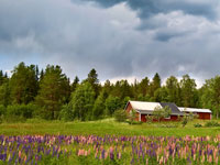 Paesaggio di campagna a Måviken - Svezia baltica
