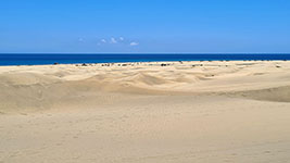 Le dune sull'oceano a Punta Maspalomas