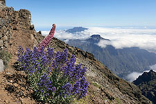 La Palma in direzione sud da Roque de los Muchachos