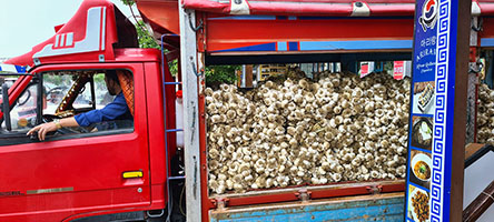 Camioncino carico d'aglio a Göreme