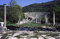 Turchia - Efeso - Grande teatro e strada del porto
