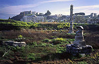 Turchia - Efeso - Rovine del tempio di Artemide