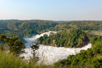 Le cascate Murchinson del Nilo Vittoria (Nilo Bianco)