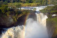 Le cascate Murchinson del Nilo Vittoria (Nilo Bianco)