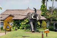 Il Mweya Safari Lodge (QENP)