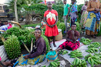 Venditrici di banane verdi a Kisoro