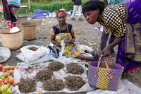 Venditrici di pescetti essicati a Kisoro