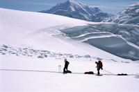 Salendo il ghiacciaio di Kahiltna con sci e slitta