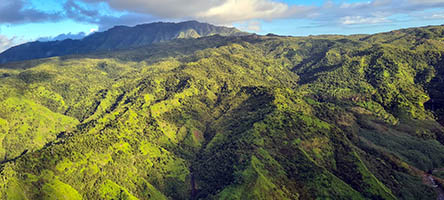 Nā Pali-Kona Forest Reserve a Kauai