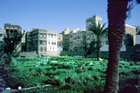 Un giardino di Sana'a