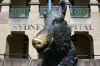 Sidney, il municipio