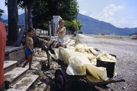 Bambini in campagna