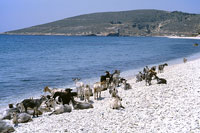Golfo di Qeparo