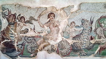 Mosaico al museo archeologico di Timgad