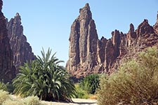 Pinnacolo al termine di Wadi Disah