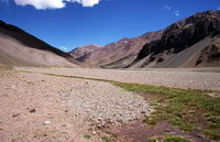 La valle las vacas