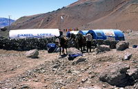 Plaza Argentina, la tenda mensa di Daniel Lopez