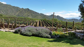 Bodega Yacochuya a Cafayate