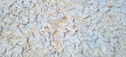 Croste saline nel Salar di Antofalla