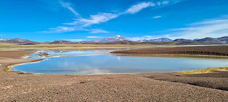 Insenatura popolata di fenicotteri rosa alla laguna Brava