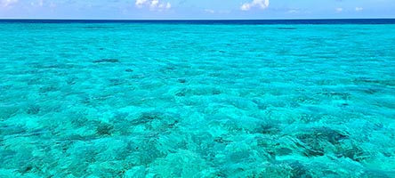 Fondale sabbioso dell'Half Moon Caye 