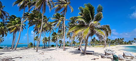 L'Half Moon Caye