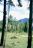 Da Trongsa a Bhumthang, bandiere di preghiera
