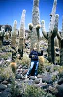 Paola sull'isola Incahuasi  al centro del Salar di Uyuni