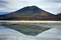 Laguna blanca