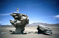 Los Arboles de Piedra