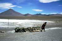 Donna boliviana alla laguna colorada
