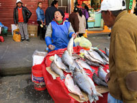 La Paz, pescivendola