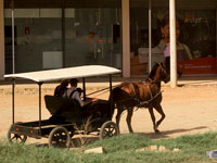 Mennoniti a San Julian